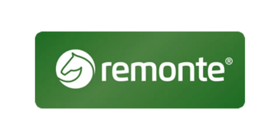 Remonte Logo Copy Original